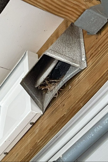 dryer vent cleaning
